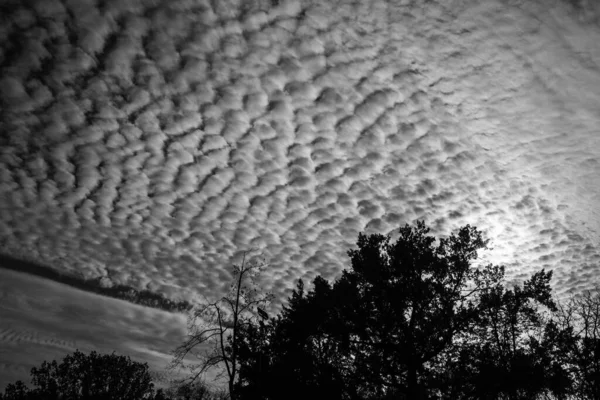 Kharkiv parkında sonbahar gökyüzü