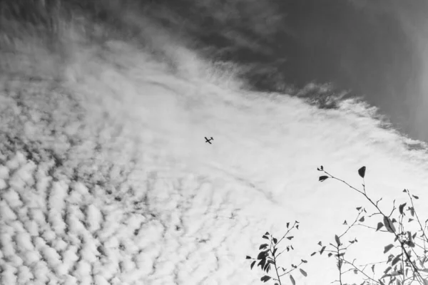 Kharkiv parkında sonbahar gökyüzü