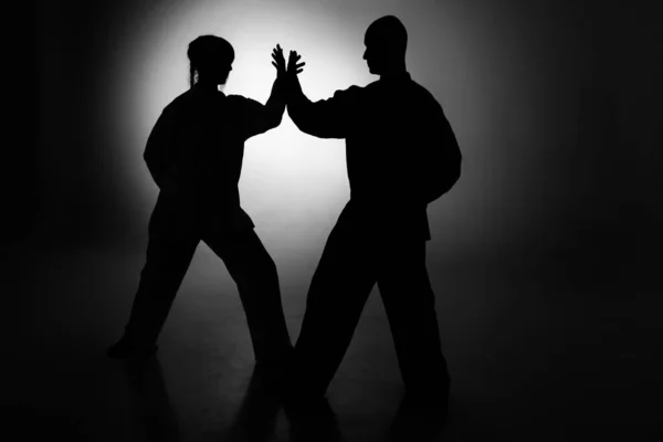 Stüdyoda Wushu eğitimi