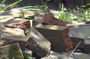 Kirli zeminde yabani otlar olan yıpranmış kırmızı tuğla parçaları.