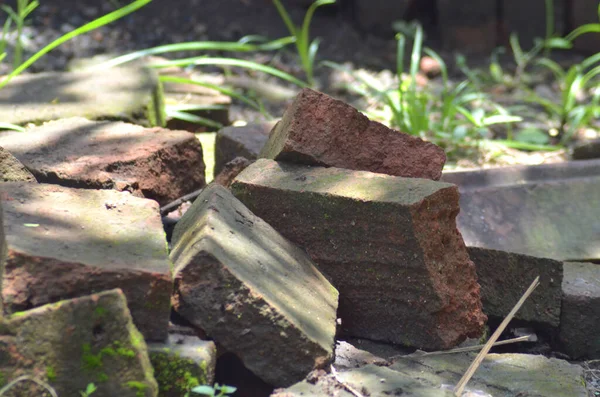 Kirli zeminde yabani otlar olan yıpranmış kırmızı tuğla parçaları.