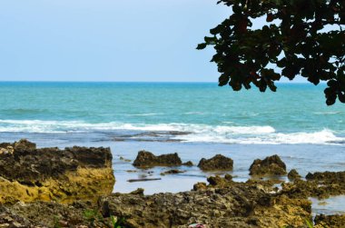 Mavi deniz manzaralı deniz kıyısındaki kayalar ve yapraklar. Pulo Manuk plaj turizmi, Banten, Endonezya