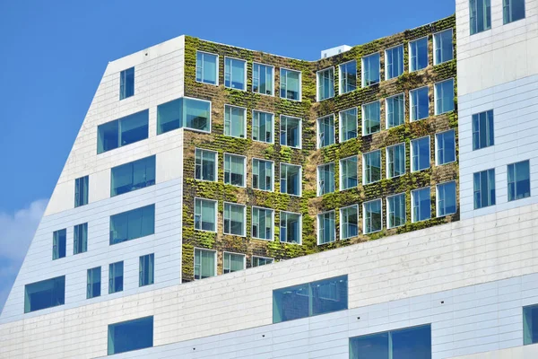 녹색식물 로장식된 현대식 사무실 — 스톡 사진