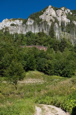 Slovakya 'daki Belianske Tatras Ulusal Parkı' ndaki Plesnivec dağ evi