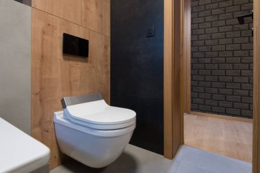 Modern dairede küçük bir tuvalet.