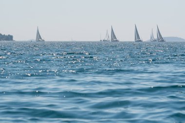 Hırvatistan 'da takım yelkencilik müsabakasında yatlar yarışıyor