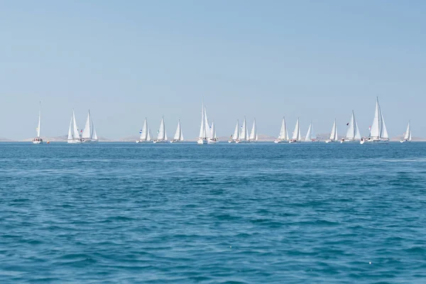 Deportes Acuáticos Velero Regata Grupo Regata Croacia Mar Adriático — Foto de Stock