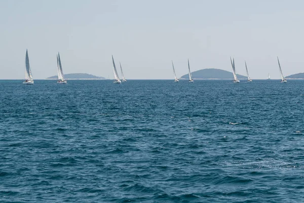 Yachts Διαγωνίζονται Ομαδικό Ιστιοπλοϊκό Κροατία — Φωτογραφία Αρχείου