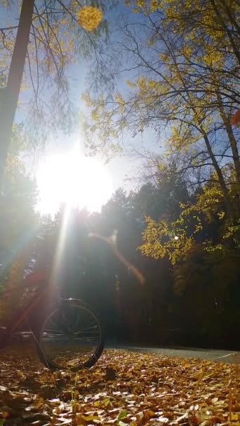 Video Verticale Foglie Cadenti Parco Autunnale Una Bicicletta Sullo Sfondo — Video Stock