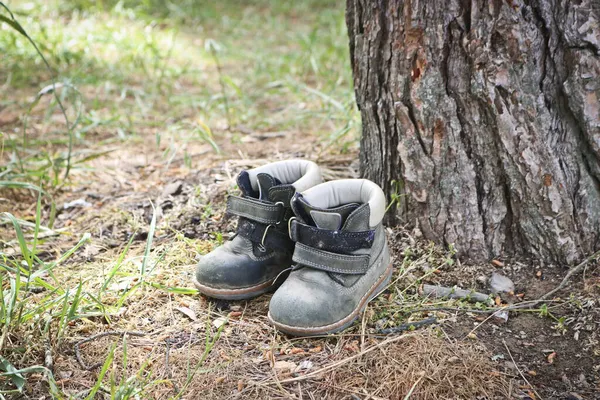 Küçük Yıpranmış Çocuk Ayakkabıları Dokunaklı Bir Şekilde Çam Ağacının Yanında — Stok fotoğraf