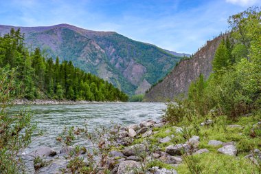 En saf şeffaf dağ nehri, Sibirya, Doğu Sayan, Rusya.