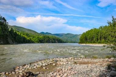 Yaz manzarası - dağ nehri Oka Sayanskaya yağmur, Sibirya, Doğu Sayan, Rusya.