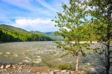 Yaz manzarası - dağ nehri Oka Sayanskaya yağmur, Sibirya, Doğu Sayan, Rusya.