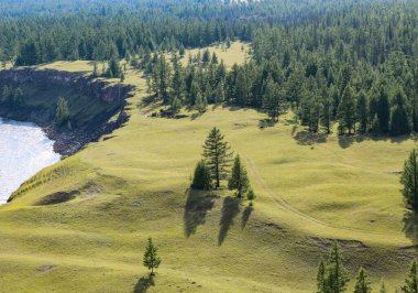 Dağ nehri boyunca tayganın arasındaki yolun üst görüntüsü. Platonun ve tarlakuşunun yumuşak yüzeyi.