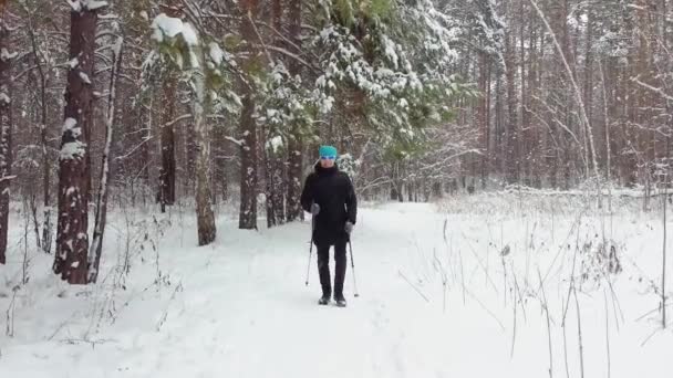 Slow Motion Woman Engaged Nordic Walking Snowy Forest Winter Fitness — Stockvideo