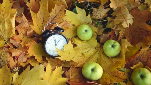 Pommes vertes et réveil sur des feuilles d'érable colorées au sol. Automne concept heure panorama mouvement caméra vidéo. — Video