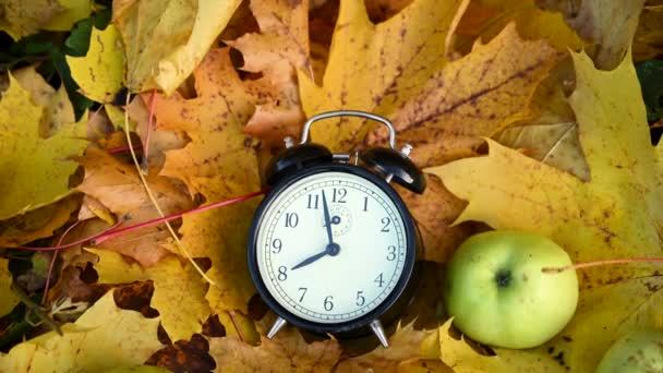 Manzanas verdes y despertador en hojas de arce de colores en el suelo. Otoño concepto de tiempo panorama movimiento cámara vídeo. — Vídeos de Stock