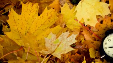 Renkli akçaağaç yaprakları üzerinde kırmızı elma ve çalar saat. Sonbahar zamanı konsepti Panorama hareketli kamera videosu.