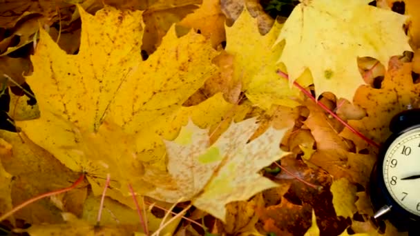 Roter Apfel und Wecker auf bunten Ahornblättern am Boden. Herbstzeit Konzept panorama Motion Camera Video. — Stockvideo
