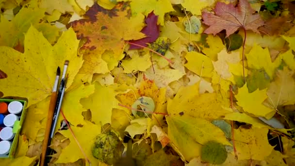 Pinturas y pinceles sobre el fondo de las hojas de otoño. El concepto de la temporada de otoño colorido. — Vídeo de stock