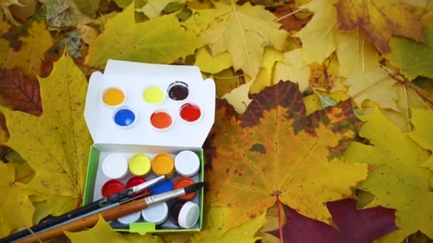 Paints and brushes against the background of autumn leaves. The concept of the season of colorful fall. — Stock Video