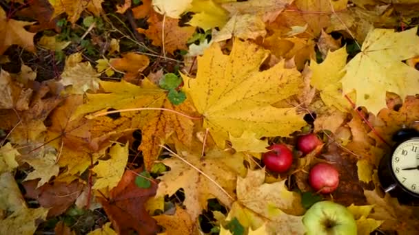 バスケットにりんご、カラフルなメープルの目覚まし時計は地面に残します。秋の時間概念パノラマモーションカメラビデオ. — ストック動画