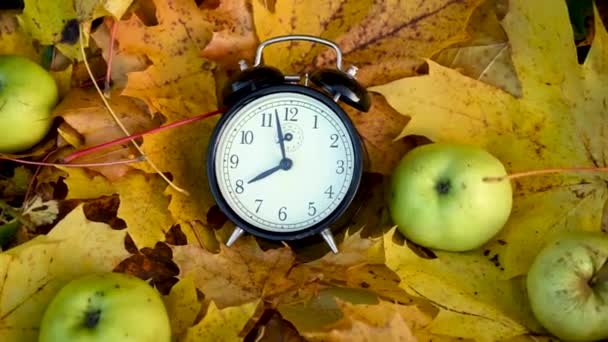 Yerde yeşil elmalar ve akçaağaç yapraklarının üzerindeki çalar saat. Sonbahar zamanı konsepti Panorama hareketli kamera videosu. — Stok video