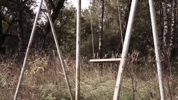 Koncept ochranného prostředí. Prázdný opuštěný houpačka v lese. Video. — Stock video