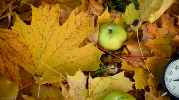 Manzanas verdes y despertador en hojas de arce de colores en el suelo. Otoño concepto de tiempo panorama movimiento cámara vídeo. — Vídeo de stock