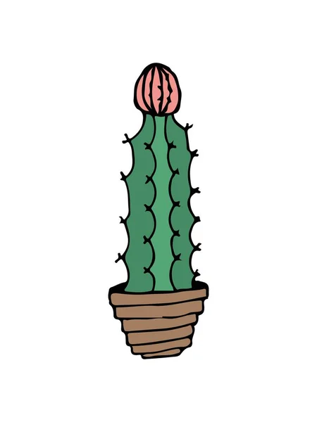 Illustration doodle cactus sur blanc — Image vectorielle