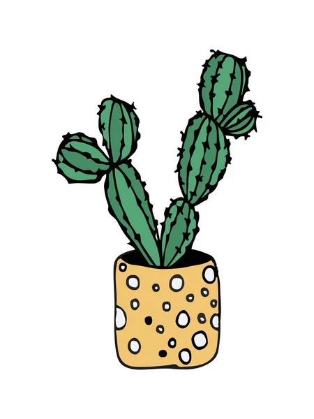 Firka illusztráció kaktusz fehér — Stock Vector