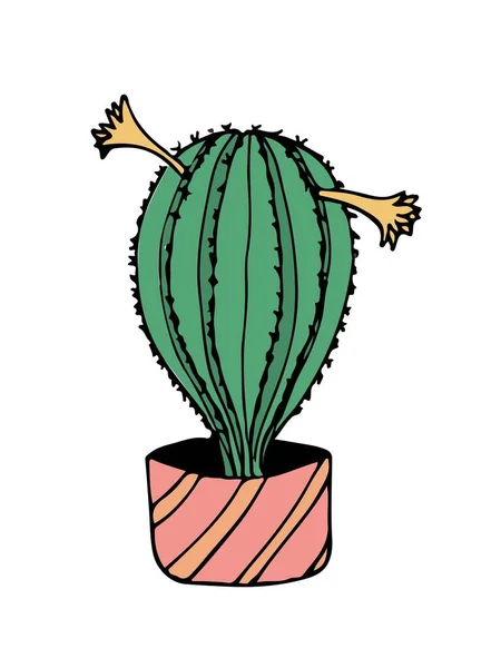 Doodle cactus ilustración en blanco — Vector de stock