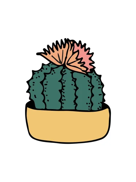 Firka illusztráció kaktusz fehér — Stock Vector