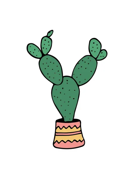 Doodle cactus ilustración en blanco — Vector de stock