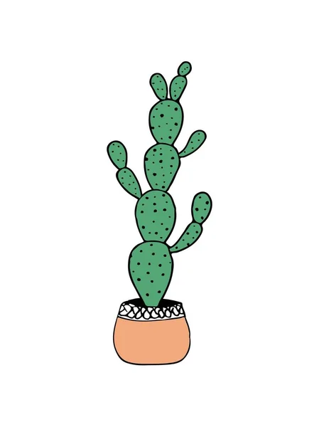 Doodle cactus ilustración en blanco — Vector de stock