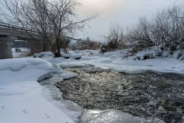 Güneşli bir kış gününde hızlı akan buzsuz bir nehir. Buz, kar ve çalılarla kaplı kıyılar resmi olarak nehir yatağının sınırını çiziyor. Güneşin yansıması. Uzakta köprü var. Rusya, Ural 
