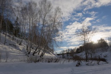 Winter landscape with birches and firs growing on snowy slopes of rocks, a frozen winding river and a white sun going down to sunset. Blue sky with white clouds. White pure snow. Russia, Middle Ural 