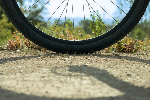 Black Bicycle Wheel Blue Sky Background Dirt Road Grasses — Zdjęcie stockowe