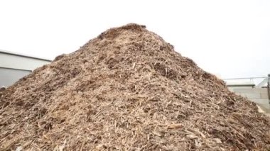 Yerdeki odun parçaları ve talaşlar. Ahşap işleme atığı talaşı. Granüle edilmiş ahşap yakıt. Ekonomik, Ekolojik Yakıt