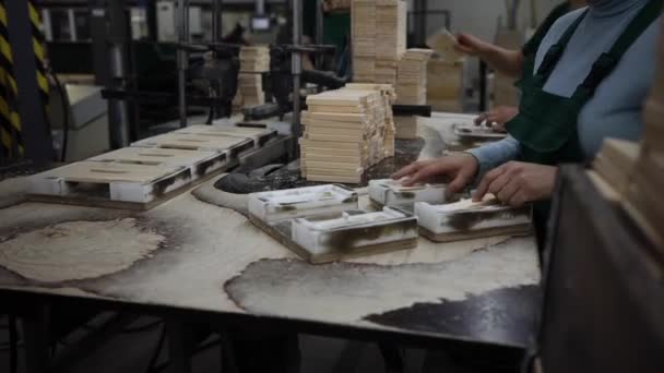Träbitar Möbler Fabriksarbetare Montering Produkter — Stockvideo