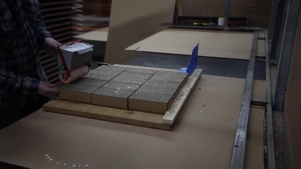 Ouvrier Fabrique Des Palettes Carton — Video