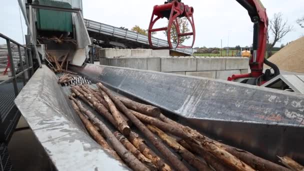 System Transportowy Zewnątrz Dużego Tartaku Wiele Kłód Gigantyczny System Transportu — Wideo stockowe