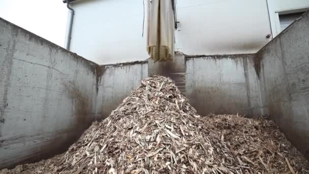 Przetwarzanie Drewna Trociny Lub Ściółkę Trociny Odpadów Drzewnych Granulowane Paliwo — Wideo stockowe