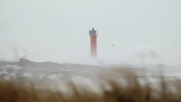 Zamknij Ogromne Fale Rozbijając Latarnię Podczas Burzy Burzliwa Pogoda Rydze — Wideo stockowe