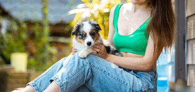 Avustralya çoban köpeği mavi merle yavrusu arka bahçede bir kadınla oynuyor.