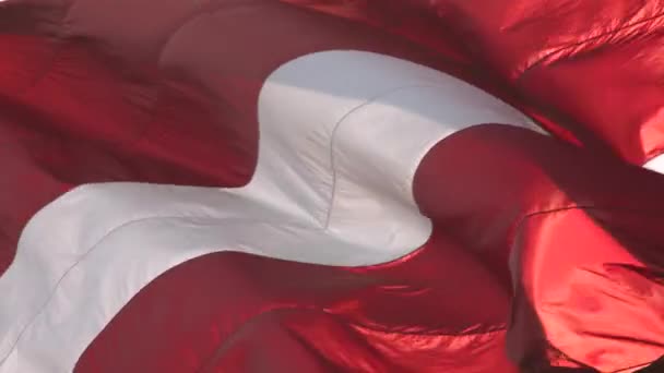 Waving National Flag Latvia Capital City Riga — Vídeo de stock