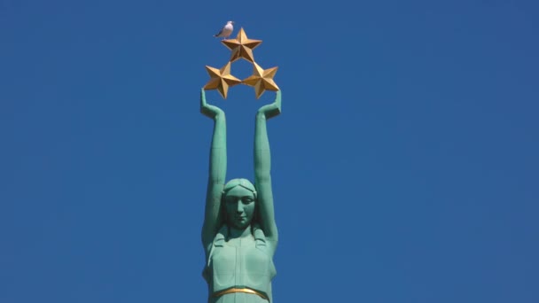 Close Latvia Monument Freedom Blue Sky Seagull Sits Stars — стоковое видео