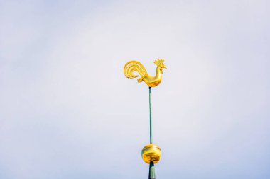 Symbol of old Riga town in Latvia - golden cockerel (rooster) topping bell tower of Riga Doms Cathedral.