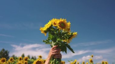 Woman Holding sunflowers in field in support for Ukraine and Standing for Peace