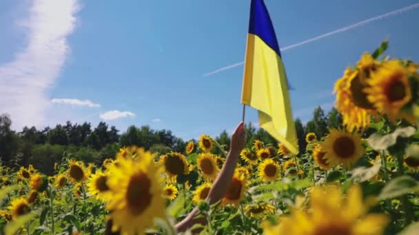 Женщина Флагом Украины Подсолнечнике Поддержку Украины Мир — стоковое видео